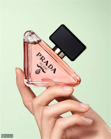 prada paradoxe zara muadili